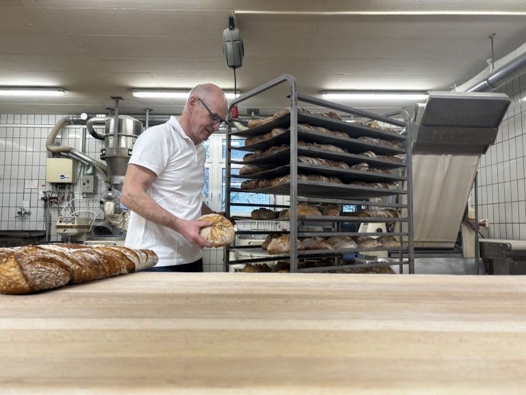 Mehlwurmpulver im Brot: "Das kommt für uns nicht infrage."