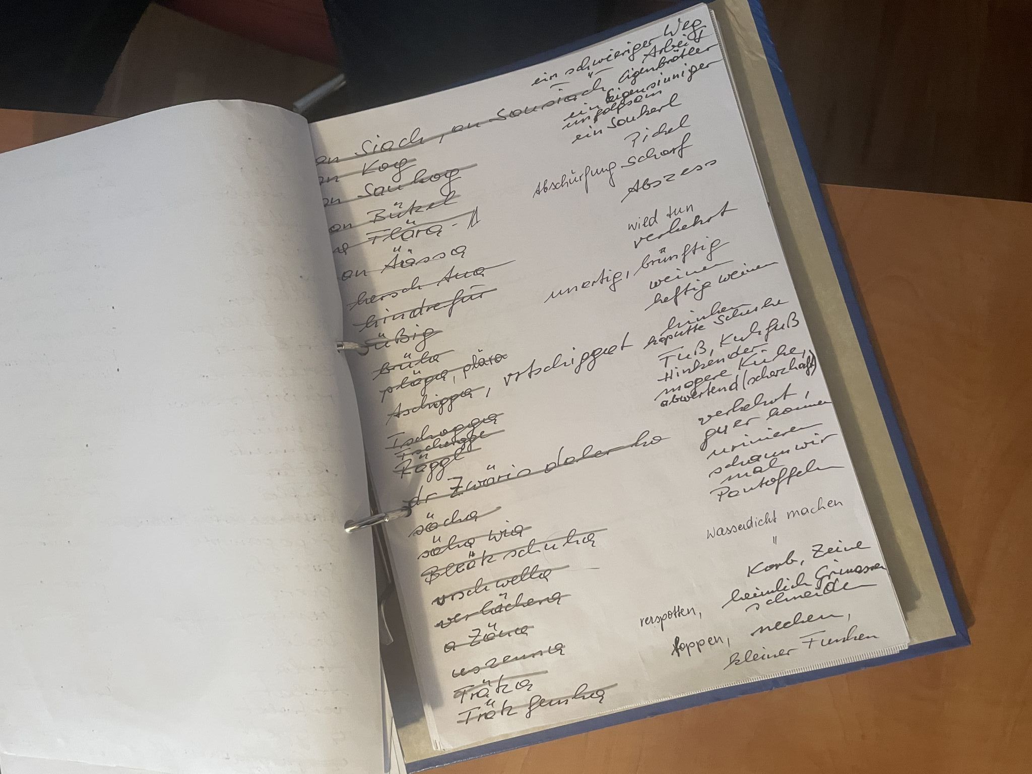 Albert Oswald, Mensch aus der Heimat, Autor, Bsundrig sin mir - aber net so anderscht