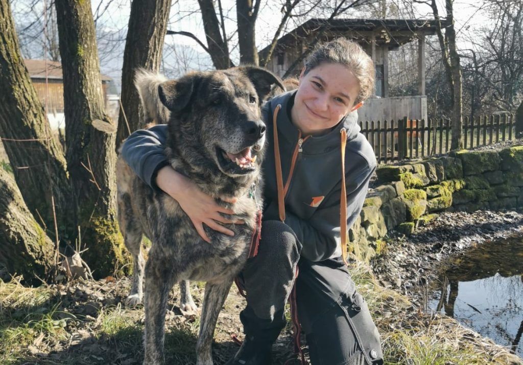 Die zutrauliche Leika sucht ein neues Körbchen