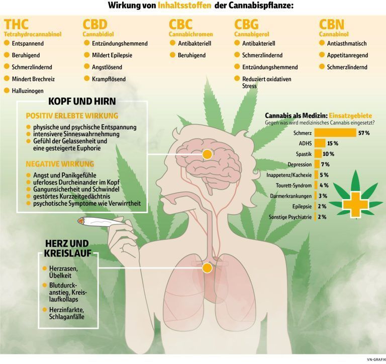 Wirkung von Cannabis_0423