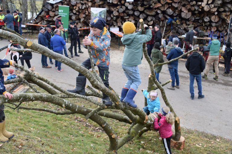 Innovative Holznutzung präsentiert: Die Kinder hatten am Kletterbaum ihren Spaß.