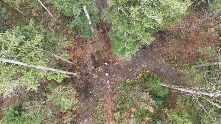 Wald, Aufforstung, Mischwald, Agrargemeinschaft Nenzing