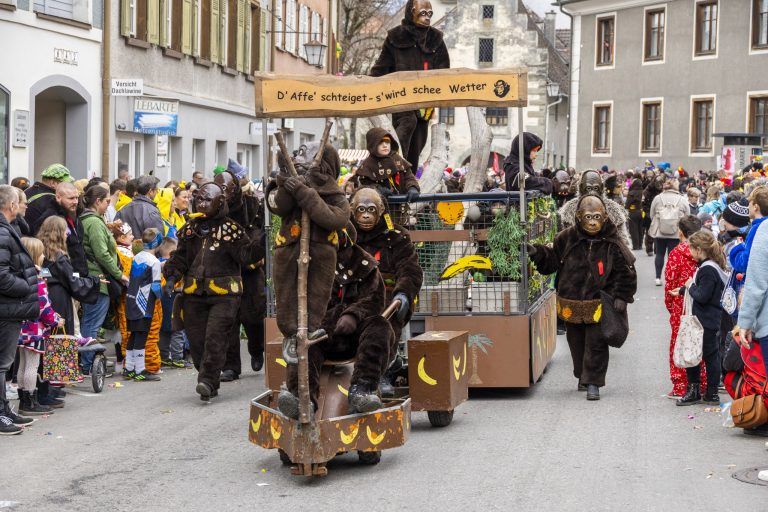 Vorarlbergs größter Faschingsumzug sorgt für Ausnahmezustand in der Montfortstadt