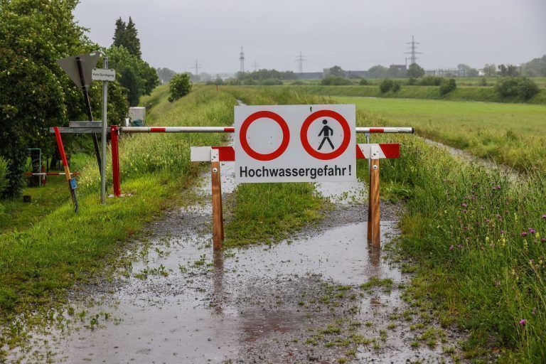 Leserbrief: Rhein-Renaturierung