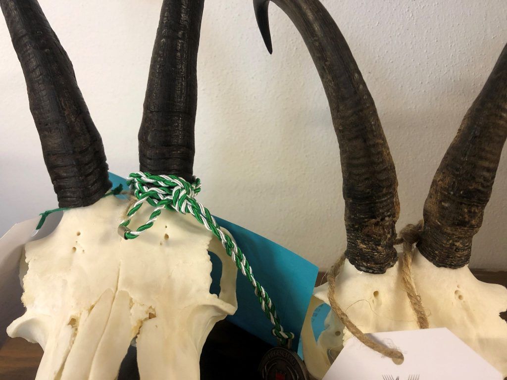 Abschusskontrolle im Schindlersaal: Die Jäger legen ihre Ernte vor