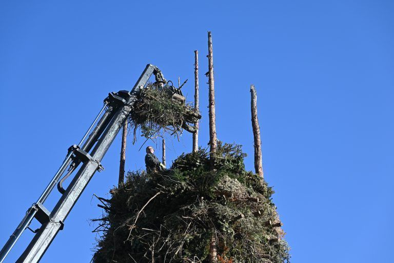 Tannenduft beim Eichele-Funken: Routiniert wächst der Funken gen Himmel.