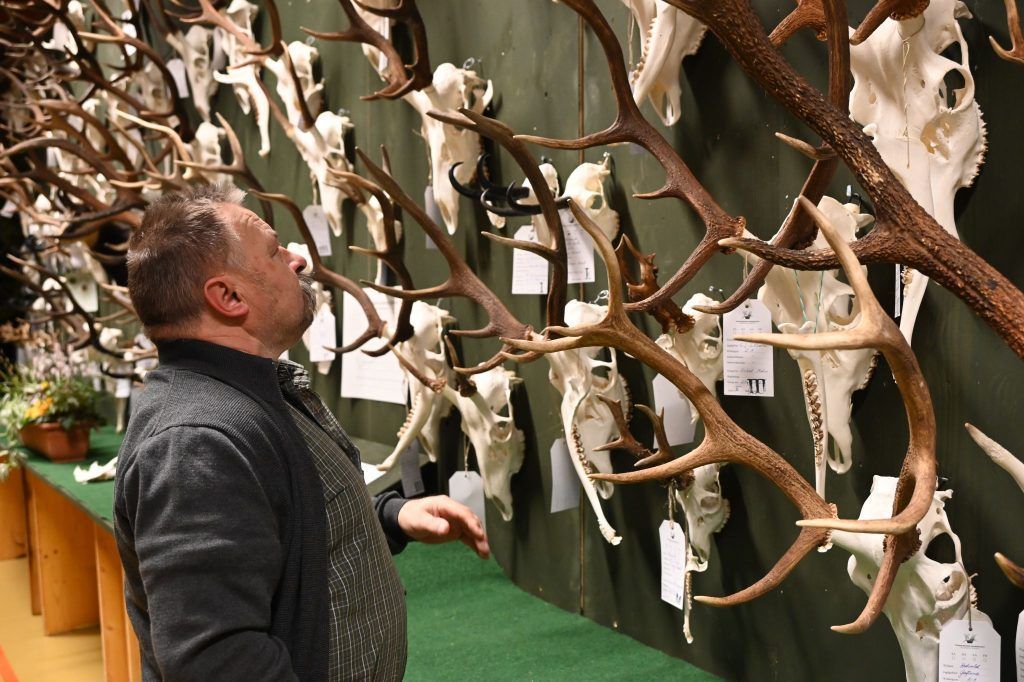 Die Oberländer Jägertage  finden in Raggal statt
