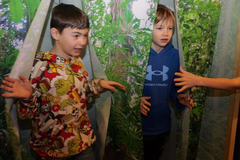 Schüler haben sich über Regenwald und Klimaschutz schlau gemacht: Die Schüler erkunden gemeinsam das Regenwald-Labyrinth.