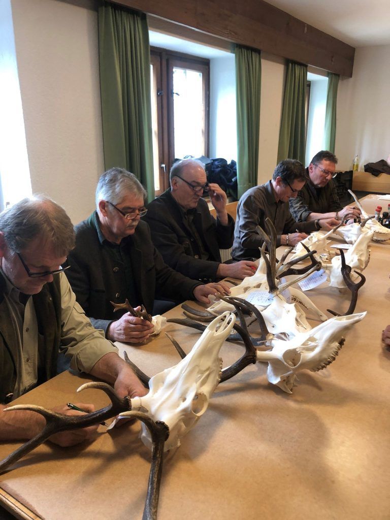 Abschusskontrolle im Schindlersaal: Die Jäger legen ihre Ernte vor