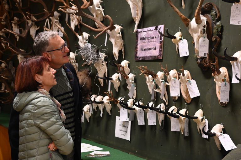 Die Trophäenschau wurde von Jagdinteressierten besucht.