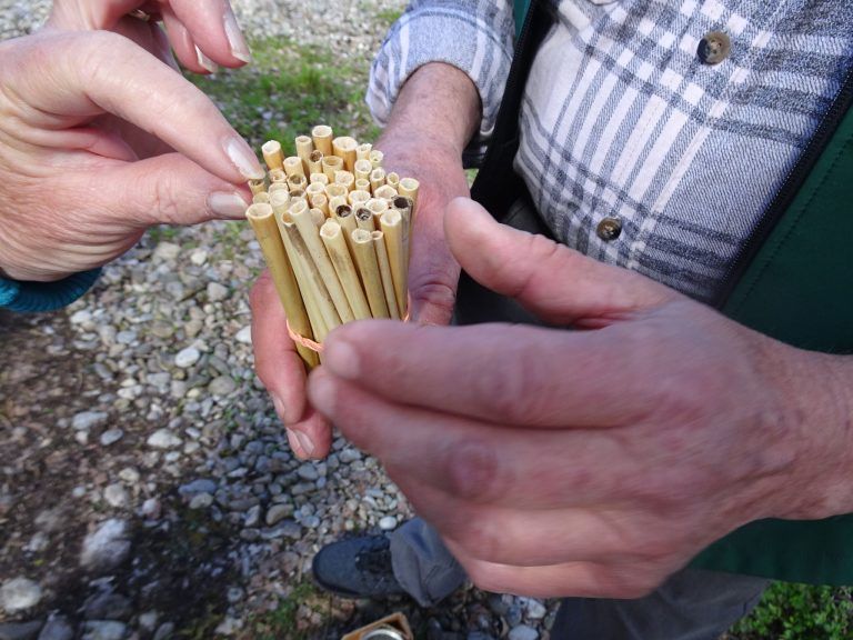 Ein neues Zuhause für Wildbienen & Co. : Wichtig ist mit Naturmaterialien zu arbeiten, die dementsprechend vorbereitet werden müssen.