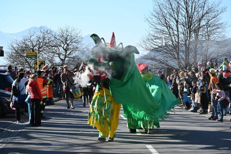 Stierle - Stierle - Ho: Tolle Gruppe beim Brazer Faschingsumzug.