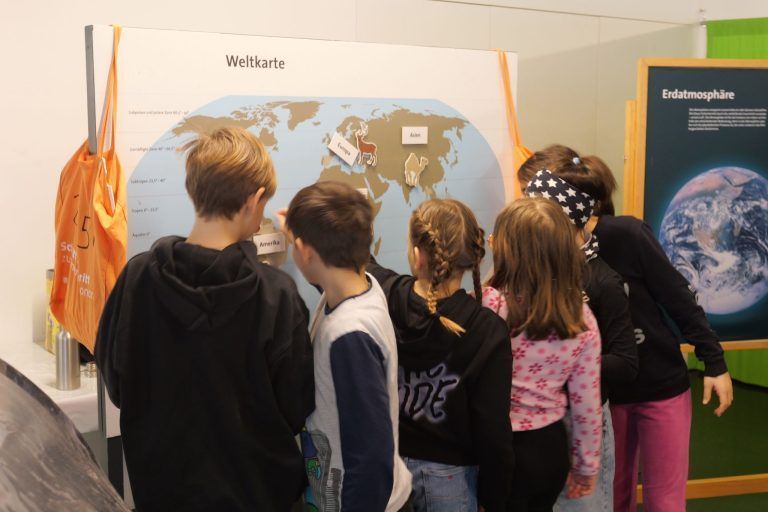Schüler haben sich über Regenwald und Klimaschutz schlau gemacht: Welche Tiere leben wo? Die Kinder ordnen Eisbären und Pinguine den Klimazonen zu.