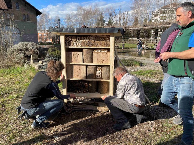 Ein neues Zuhause für Wildbienen & Co. : Die Organisatoren zeigten was beim Bau eines "richtigen" Insektenhotels beachtet werden muss.