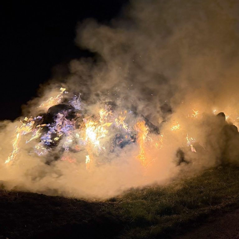 Brand
