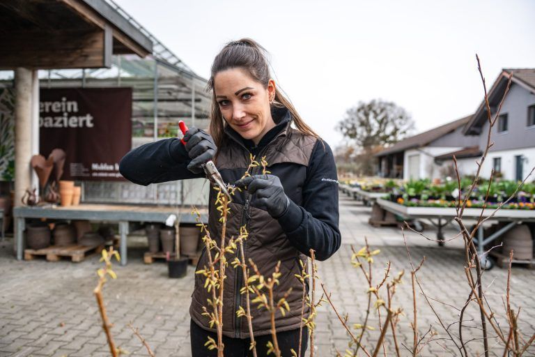 Das neue Gartenjahr startet, Mahlerhof Höchst