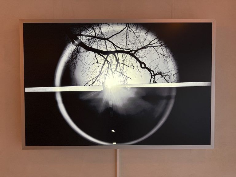 Foto künstlerisch mit Licht in Szene gesetzt