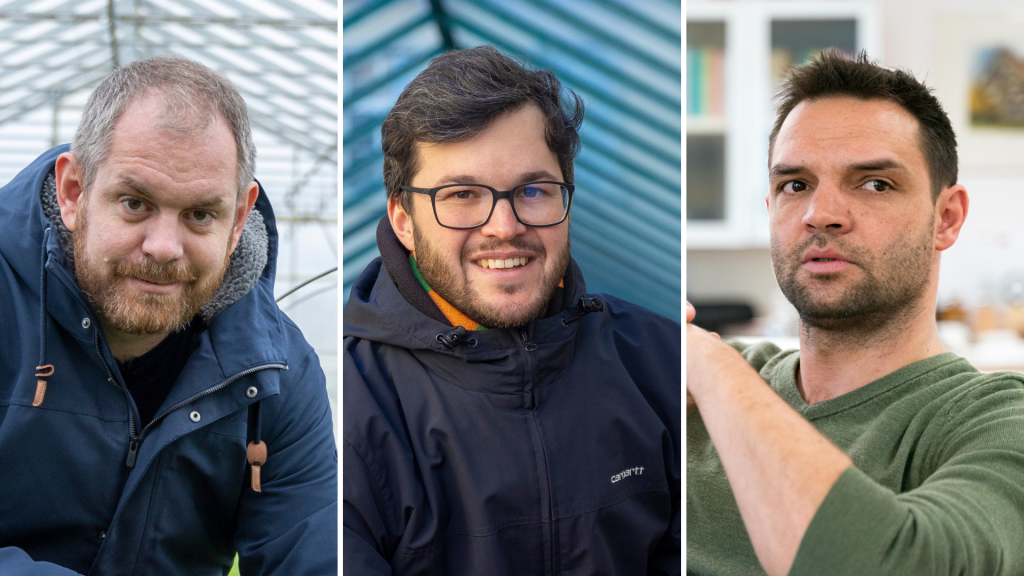 Das sind die drei neuen Stars am grünen Politikhimmel