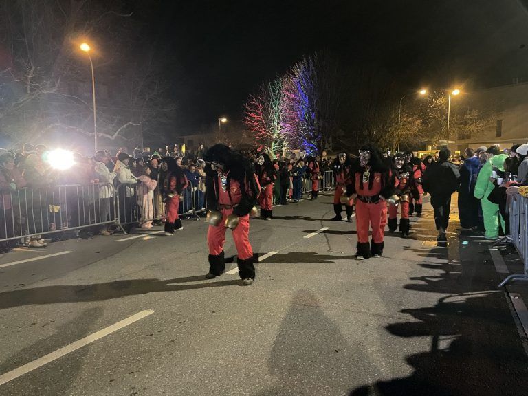 Schaaner Ried fahren 2025, Fasching, Nachtumzug