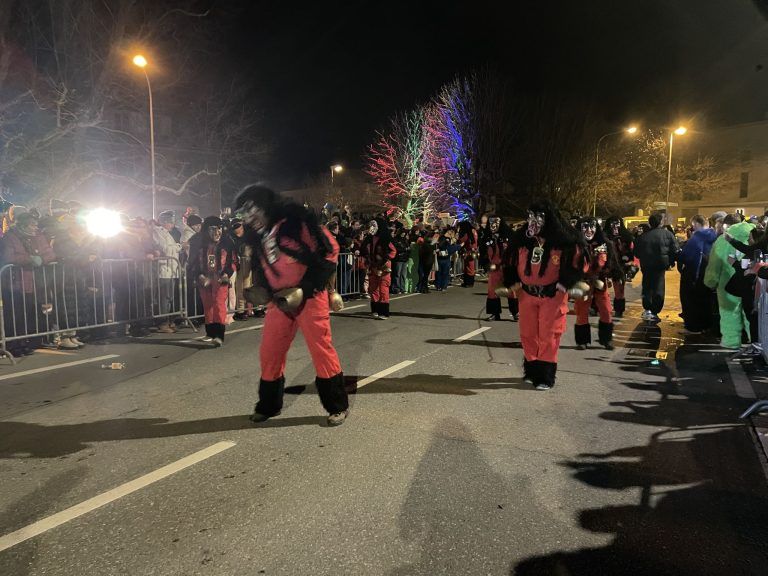Schaaner Ried fahren 2025, Fasching, Nachtumzug