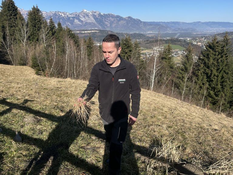 Funkenzunft Amerlügen, Funken, Absage