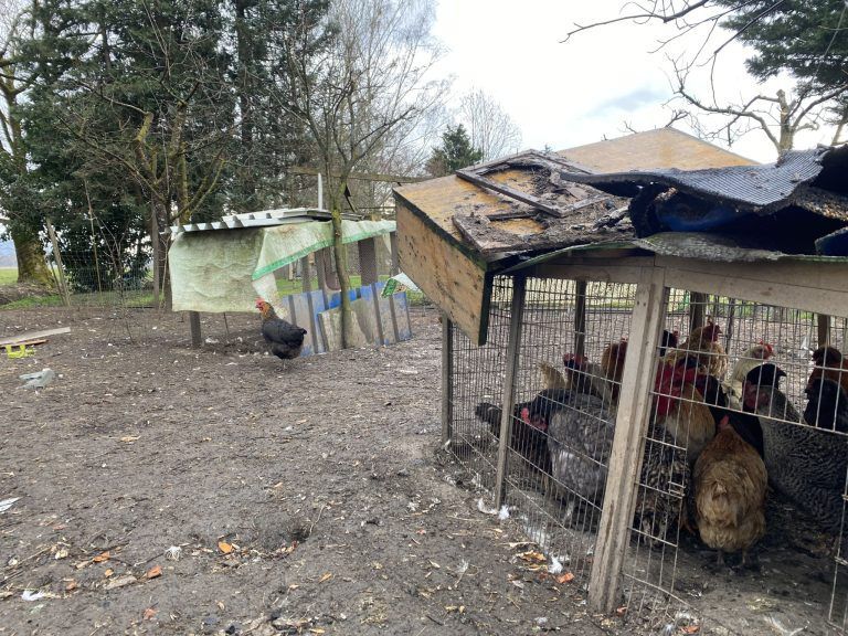 Brand kleintierstall