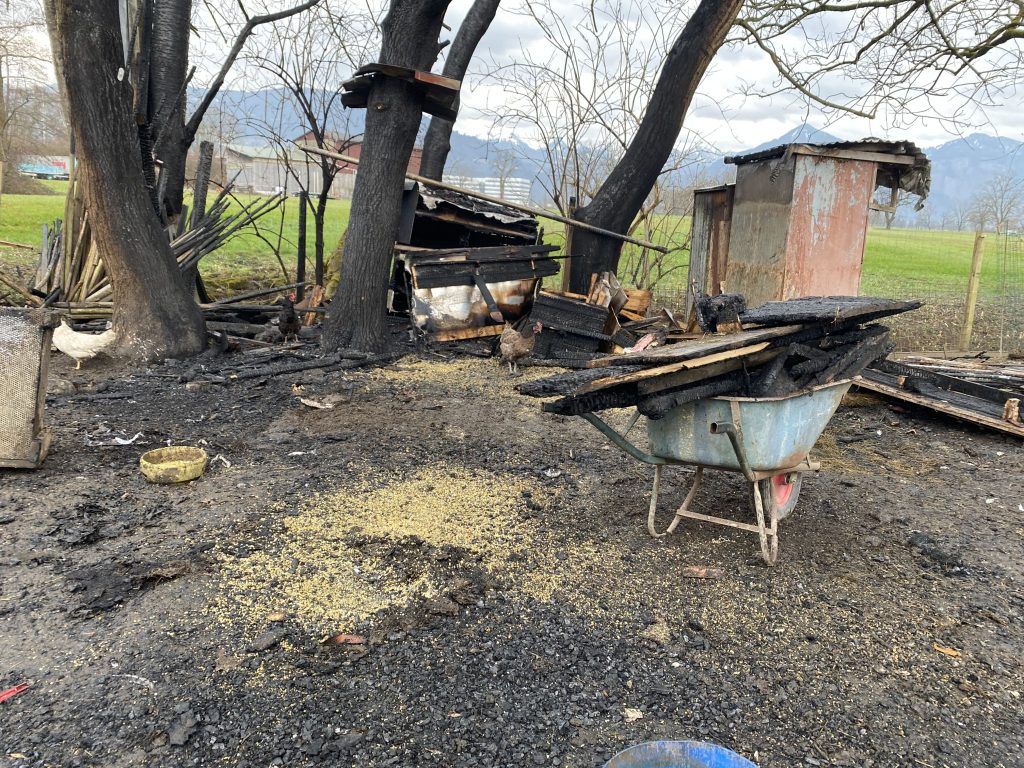 Nach Brand von Kleintierverschlag: Besitzer ratlos zur Brandursache