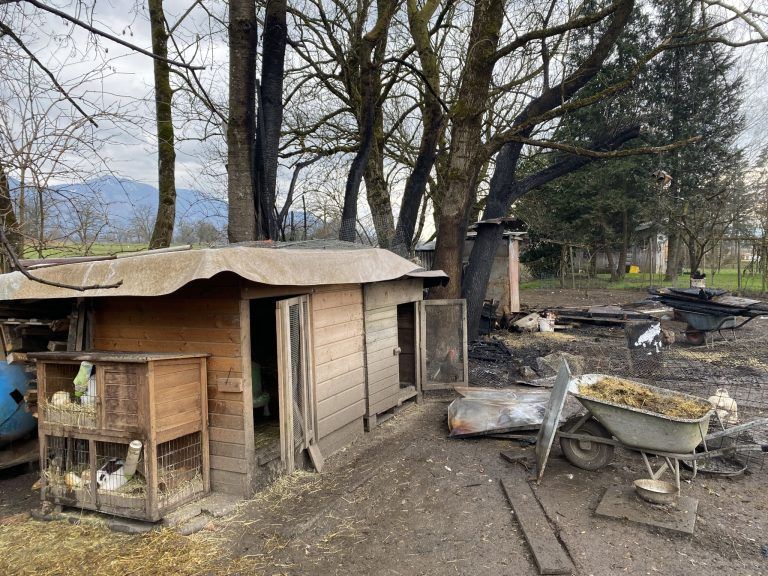 Brand kleintierstall