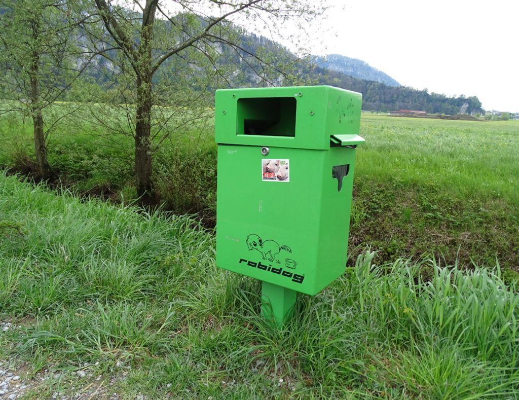 Leserbrief: Hundekot am Schulweg – Ein Appell für mehr Verantwortung