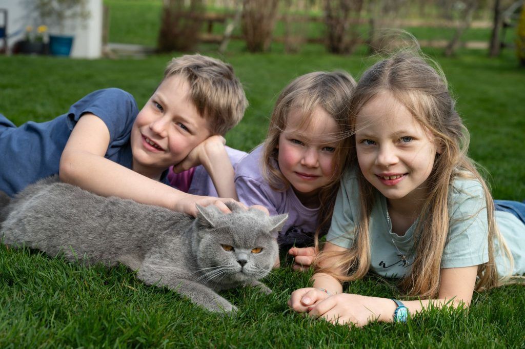 &#8220;Tierisch interessant&#8221;: Aus dem Liebesleben der Katzen
