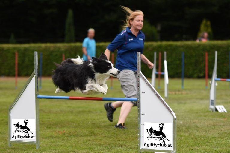 agilityclub.at, Platzsuche, Rainer Woblistin, Hundesport, Hundesportverein