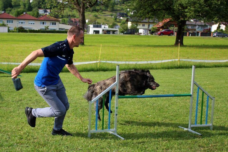 agilityclub.at, Platzsuche, Rainer Woblistin, Hundesport, Hundesportverein