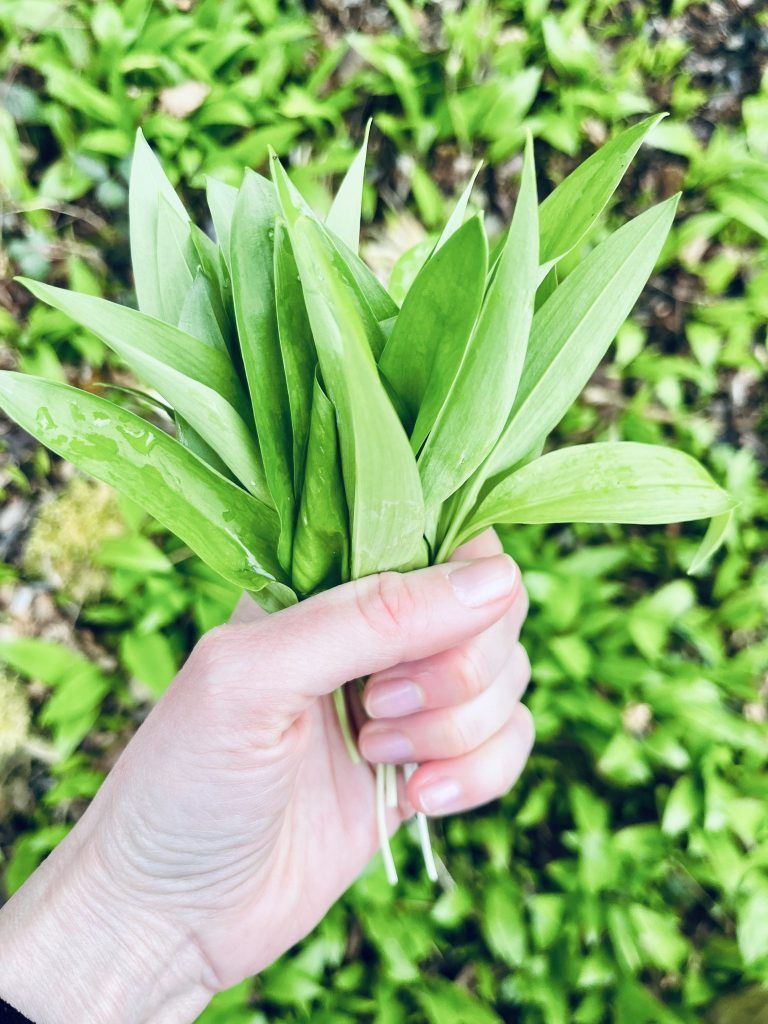 Backrezept Bärlauch-Schiffchen