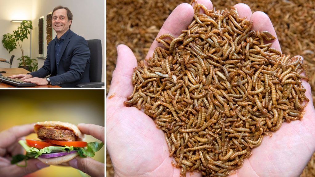 Verunsicherung durch UV-behandeltes Mehlwurmpulver in Lebensmitteln: Bedenken und klare Absagen in Vorarlberg