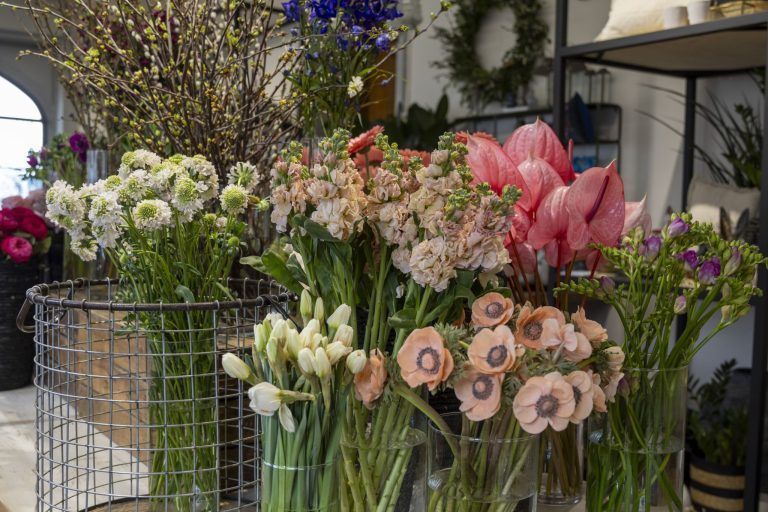 Flora blüht neu auf: Martina Köb kehrt in die Eisengasse zurück