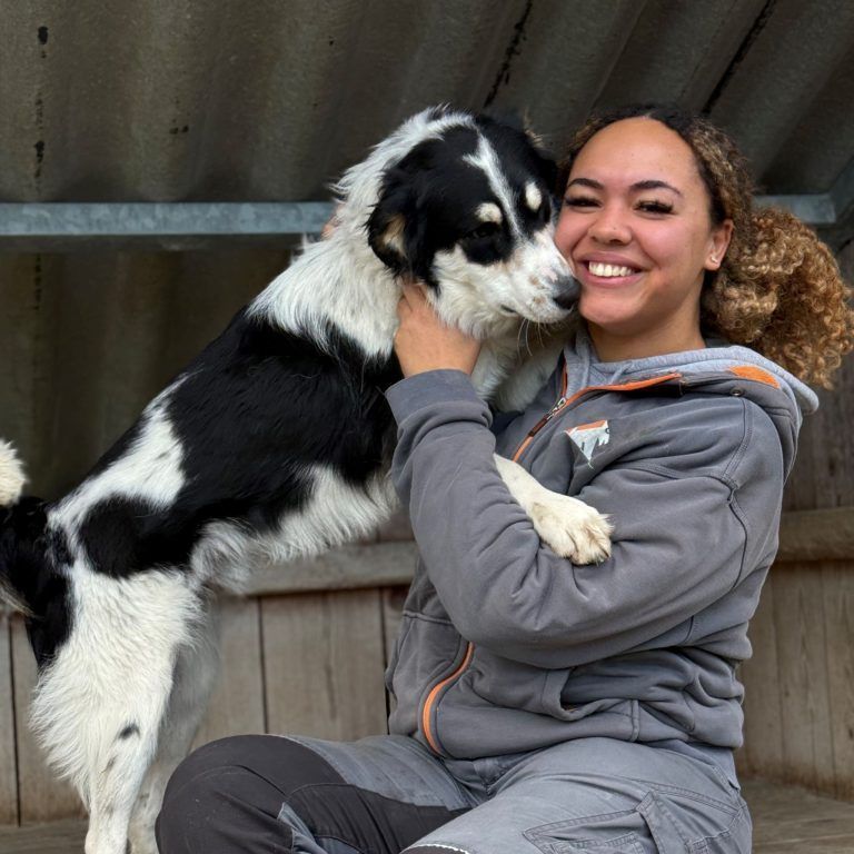 Frühlingsmarkt für Tierfreunde: Auch eine Vorführung zum Thema "Beschäftigung mit dem Hund" steht auf dem Programm.
