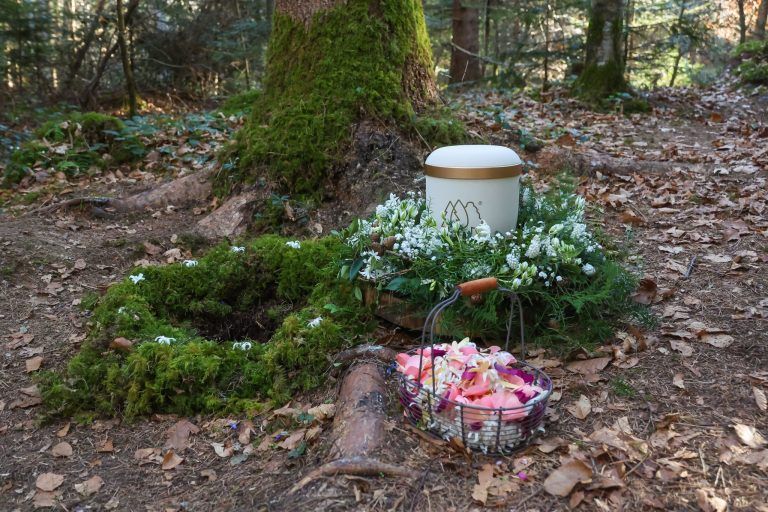 „Der Kreis des Lebens schließt sich hier“ – Warum sich Paul und Maria für eine Baumbestattung entschieden haben