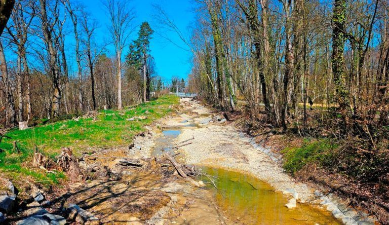 Hochwasserschutzprojekt Ruggbach erfolgreich abgeschlossen: Mit ersten Rodungen samt Räumung der Böschungsrampe rechtsseitig entlang des Ruggbaches, von der Mündung in den Bodensee bis hinauf zur ÖBB-Brücke, erfolgte der Startschuss für das Hochwasserschutzprojekt Ruggbach im Leiblachtal.