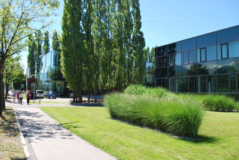 Verein Millennium Park - Neuer Vorstand