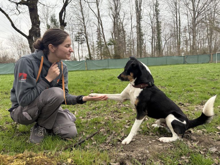 Auch die Schützlinge des Tierschutzheims dürfen an diesem Tag besucht werden.