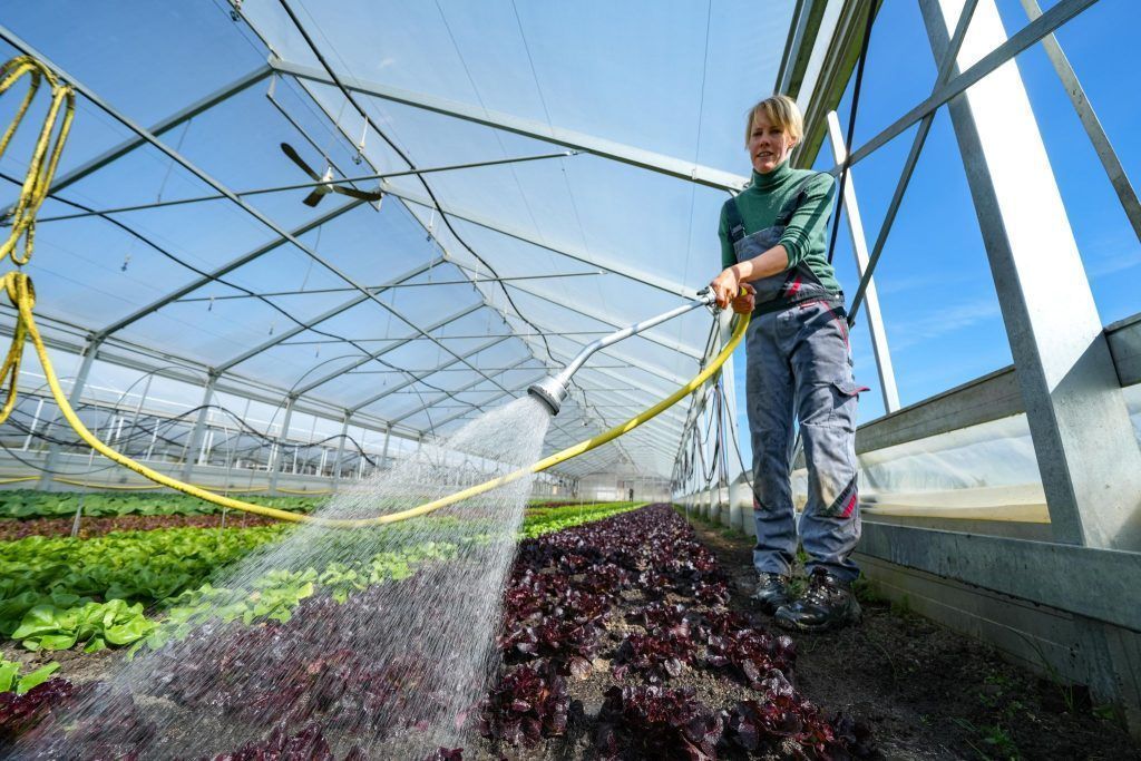 Darum dürsten Landwirte und Hobbygärtner nach Regen