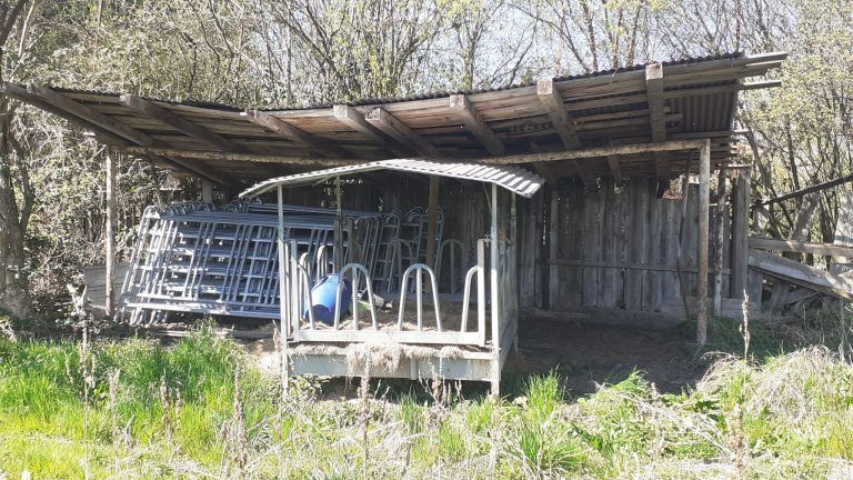 Zeugnis der Fußball-Vergangenheit dieses Platzes ist auch ein umgeknickter Mast der alten Flutlichtanlage; der Scheinwerfer verfing sich in der Astgabel eines benachbarten Baums