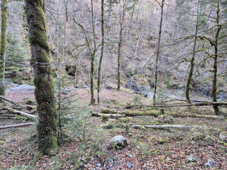 Bürser Schlucht, Instandsetzung, Helikopter, Materialtransport
