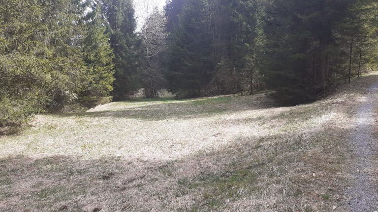 Blottrafriedhof