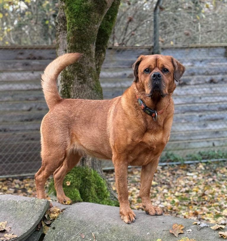 Tierecke KW 14