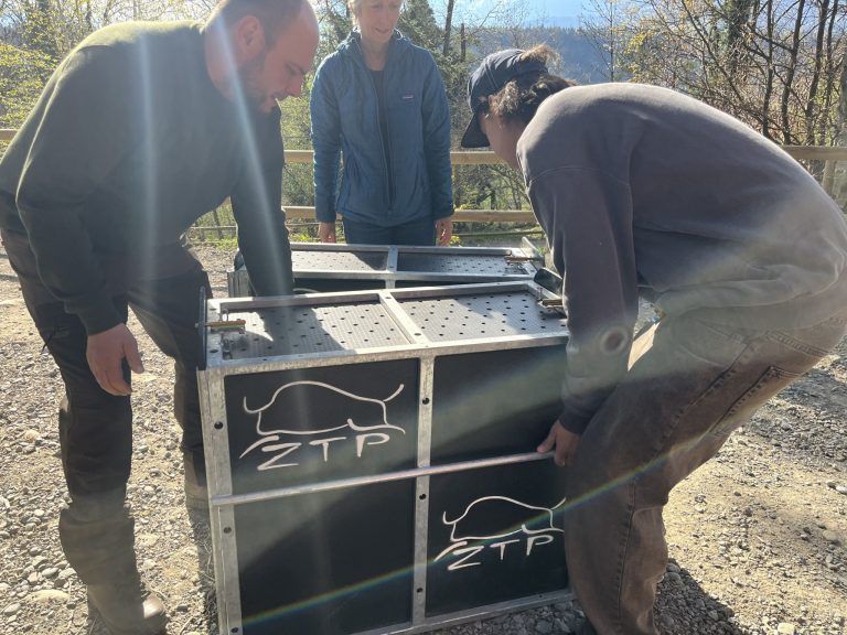 Wildpark Feldkirch, Auswilderung Luchs, Mika und Markus Herburger, Luchspaten