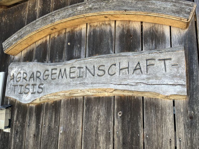 Palmbuschbinden in Tisis