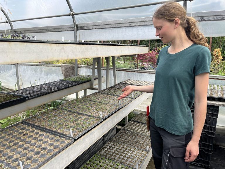 Miriam Amann, Gärtnerei Flora mirabilis