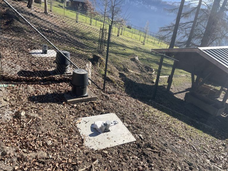 Wildpark Infrastruktur, Wolfgang Flach, Daniel Hammerl