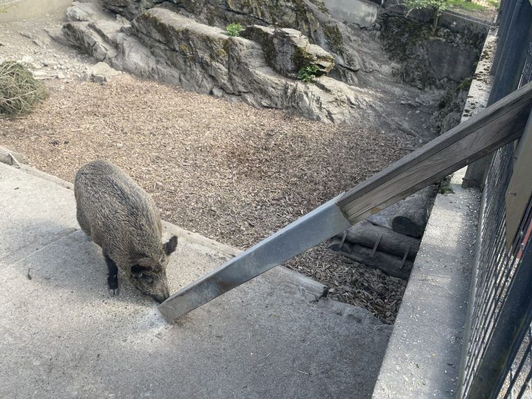Wildpark, Probleme mit Fütterung, Müllablagerungen, Andreas Fink